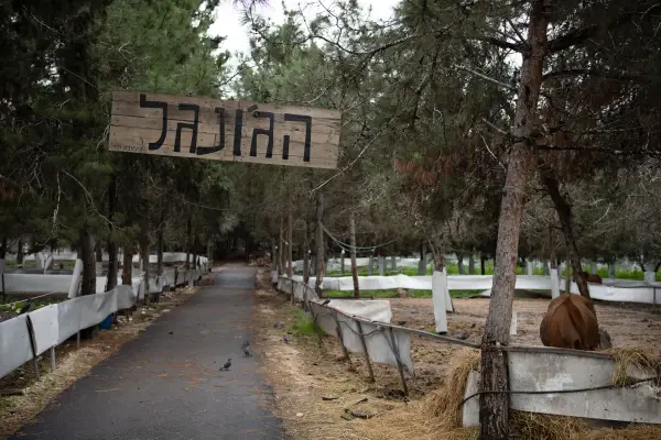 איש צעיר מחזיק נחש גדול